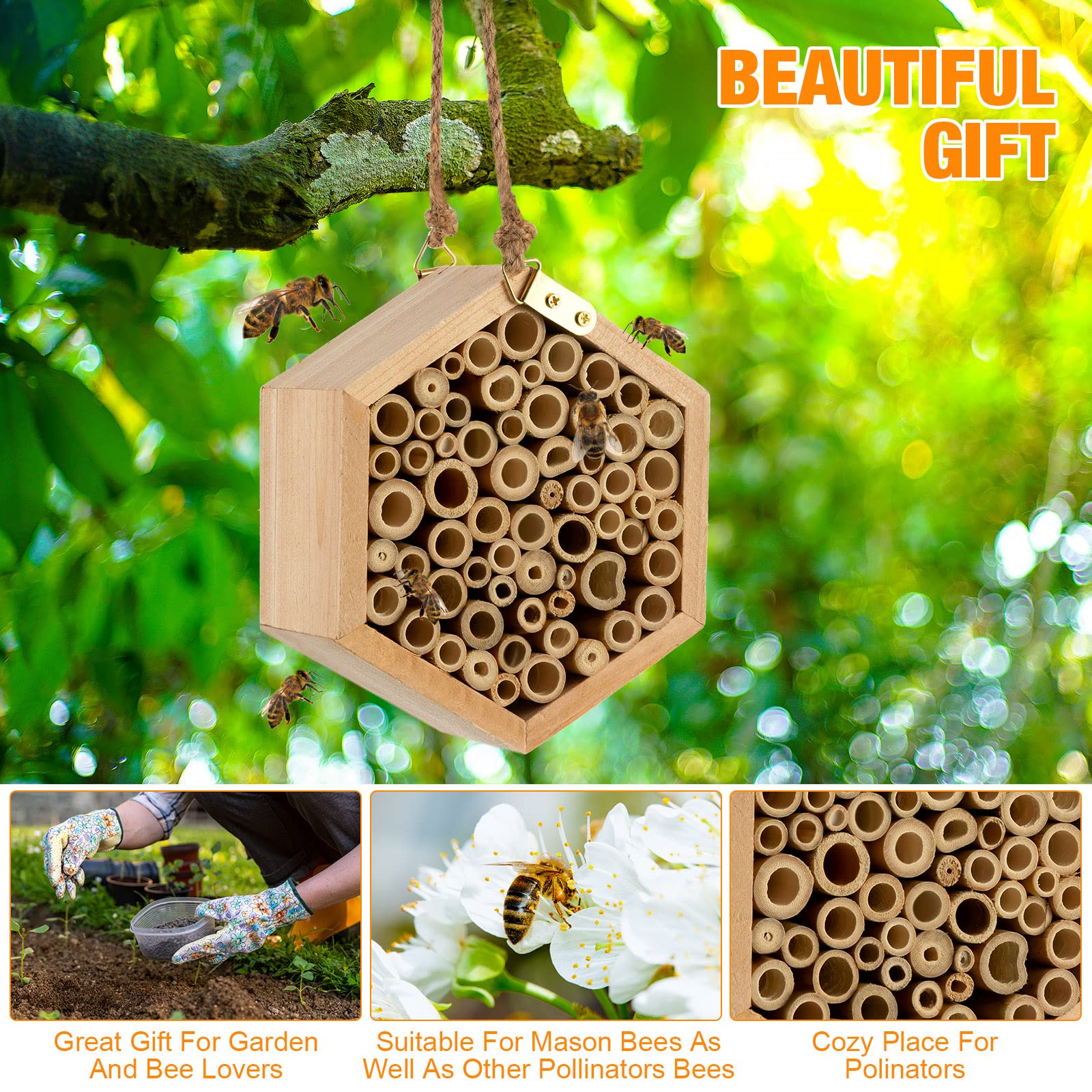 Beebricks: Sustainable Mason Bee Houses for Pollination and Bee Conservation