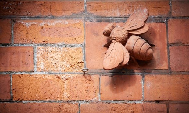 Dealing with Bees in Brick Walls? Heres What to Do