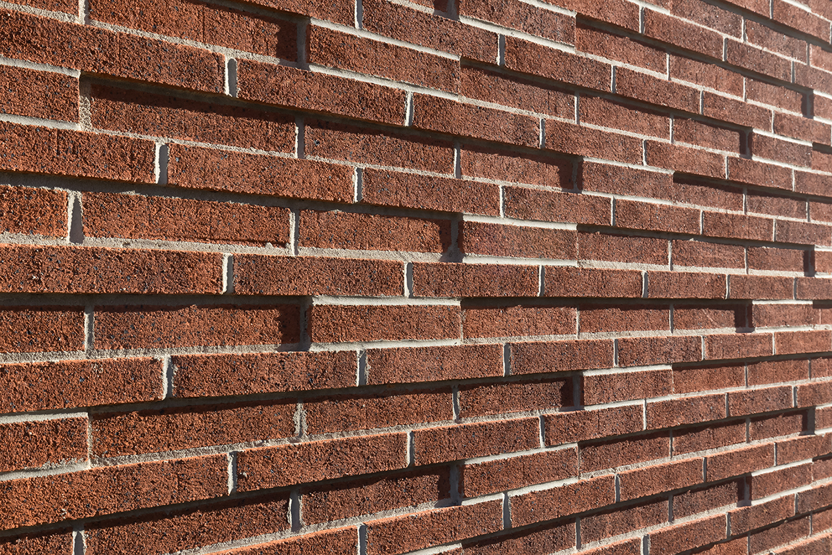 Ironspot Brick: A Guide to Its Unique Appearance and Benefits