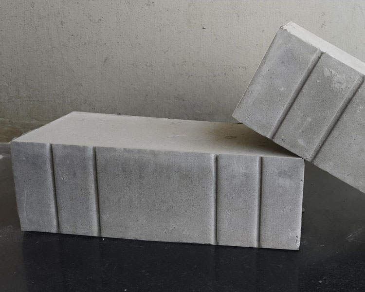 FBRICKS Future Factory: Innovative Solutions in Fly Ash Bricks and Concrete Blocks