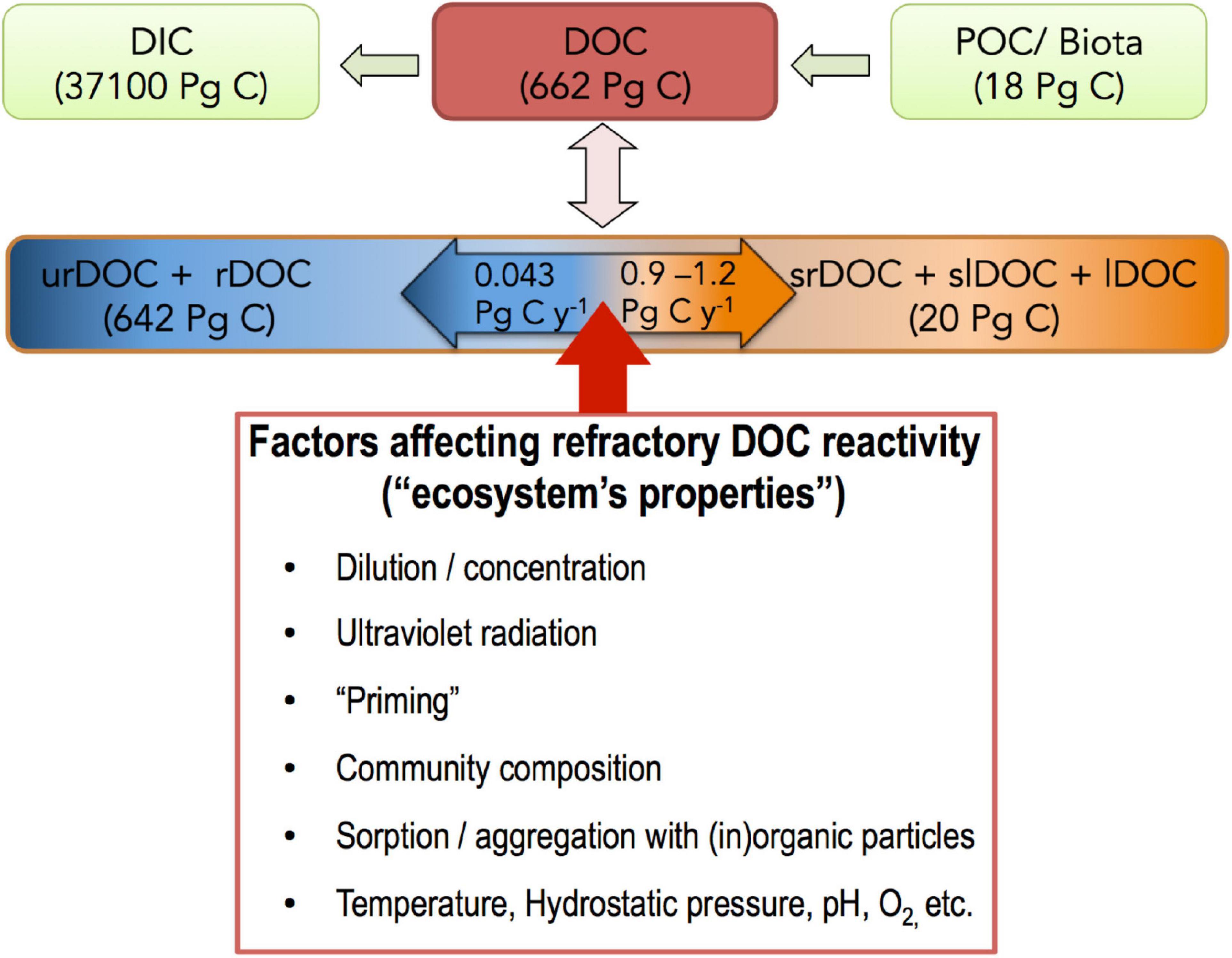 Understanding Refractory: What It Is and Why It Matters