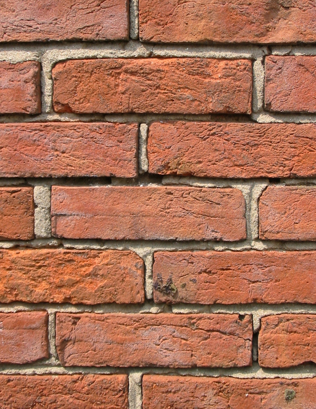 Bricks Wiki: What Is It & Everything You Need to Know