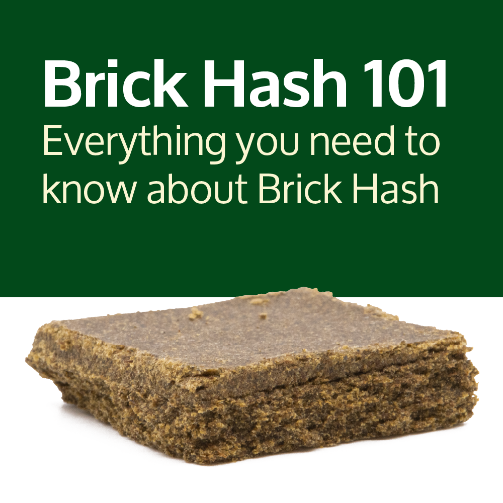 Brick Ingredients 101: Everything You Need to Know