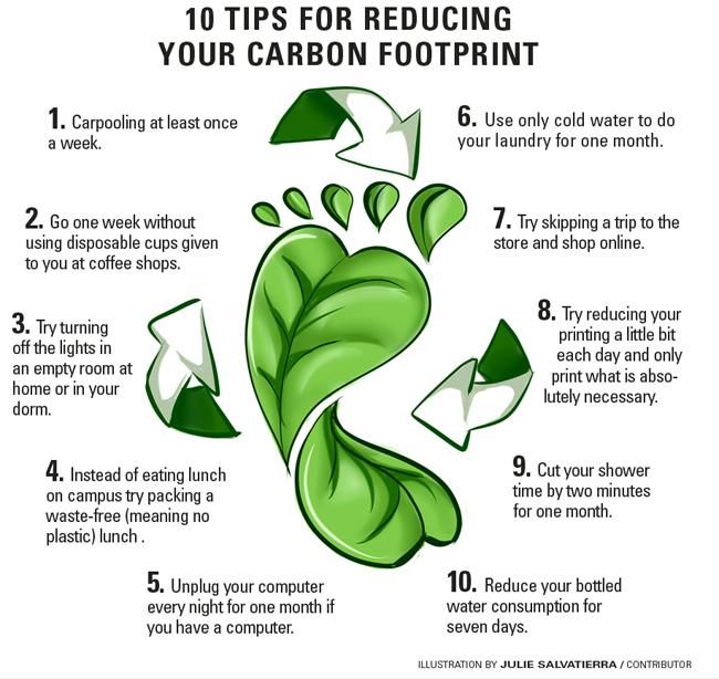 Go Green: How to Block Carbon in Your Daily Routine