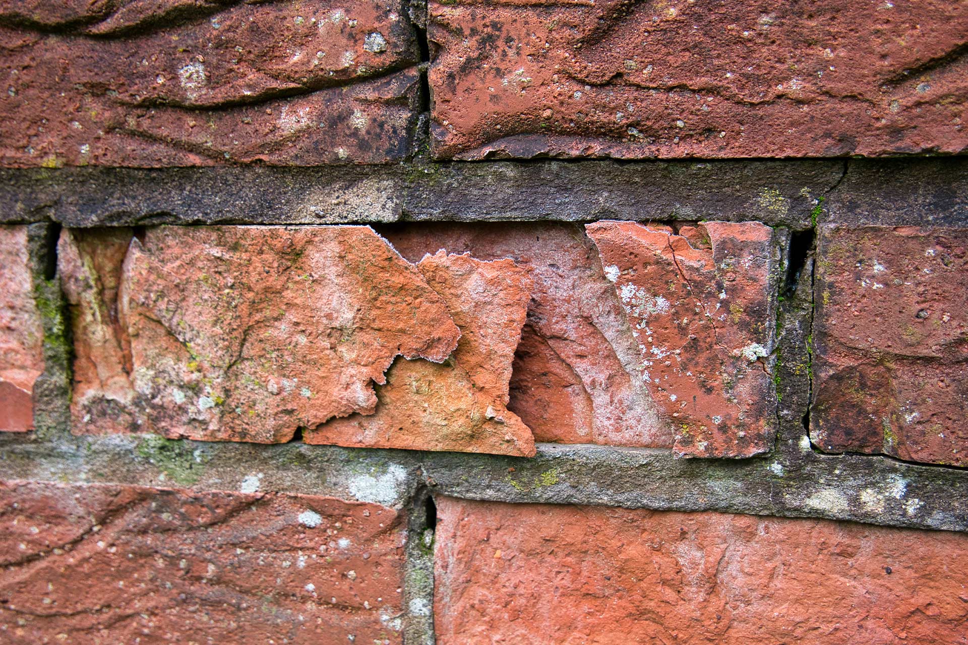 How to Fix Chipped Brick Issues? Practical Solutions for Your Chipped Bricks